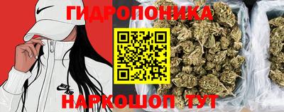 PSILOCYBIN Заводоуковск