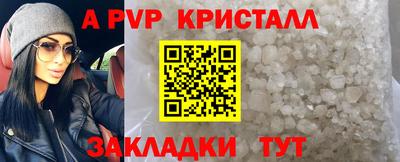 PSILOCYBIN Заводоуковск
