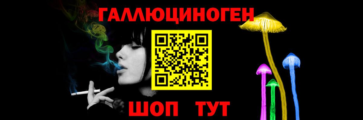 наркота  Псилоцибиновые грибы Psilocybine cubensis  Вход с VPN  Железногорск 